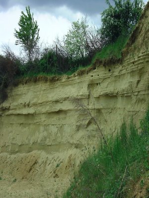 cover image of Einige ausgesuchte Mineralien, Gesteine und Fossilien aus Süddeutschland